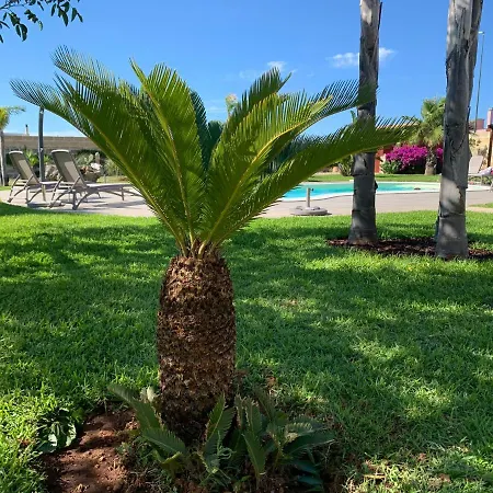 Gasthuis Masseria Prontera With Pool Giuliano