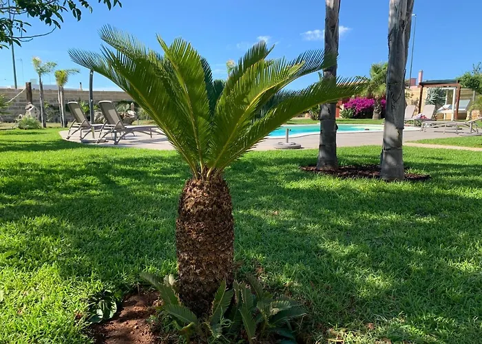 Gasthuis Masseria Prontera With Pool Giuliano
